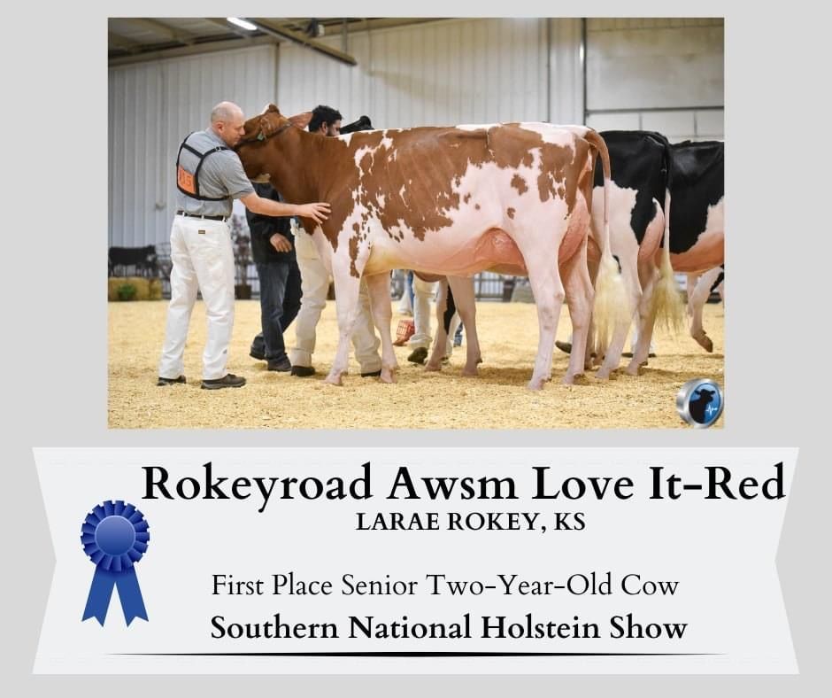 Awards at Rokeyroad Creamery
