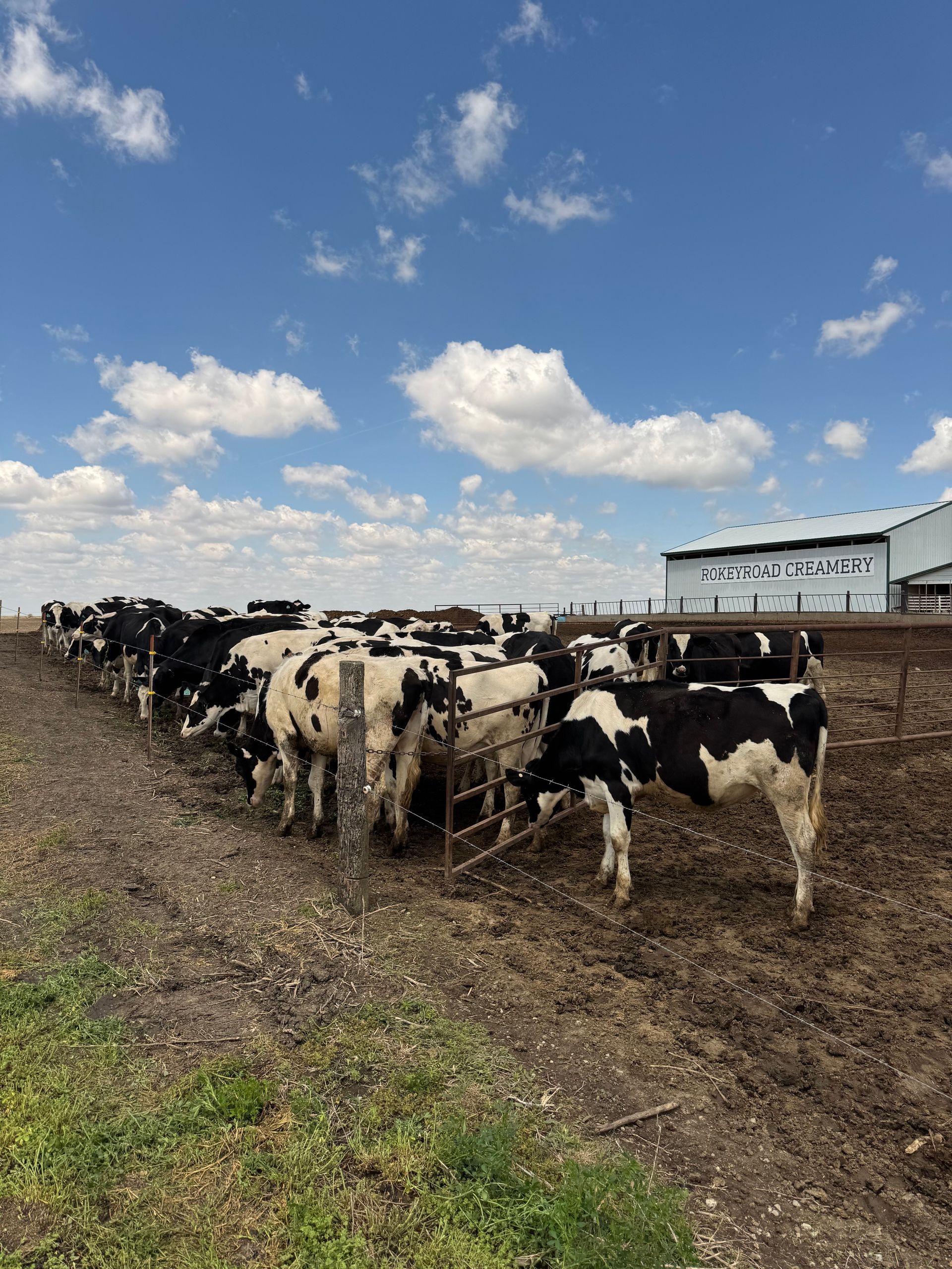 Rokeyroad Creamery Wholesale