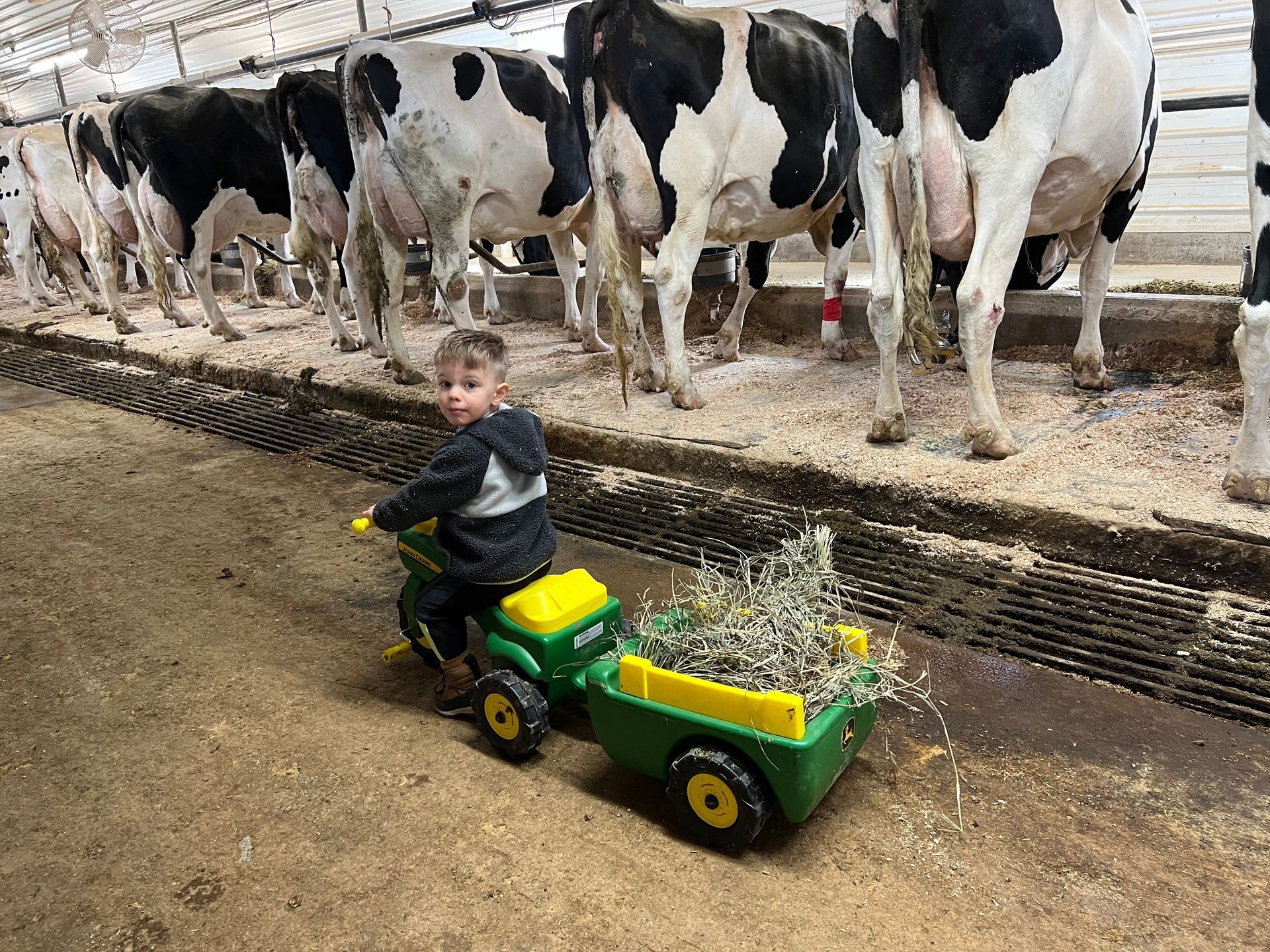 Tour Rokeyroad Creamery