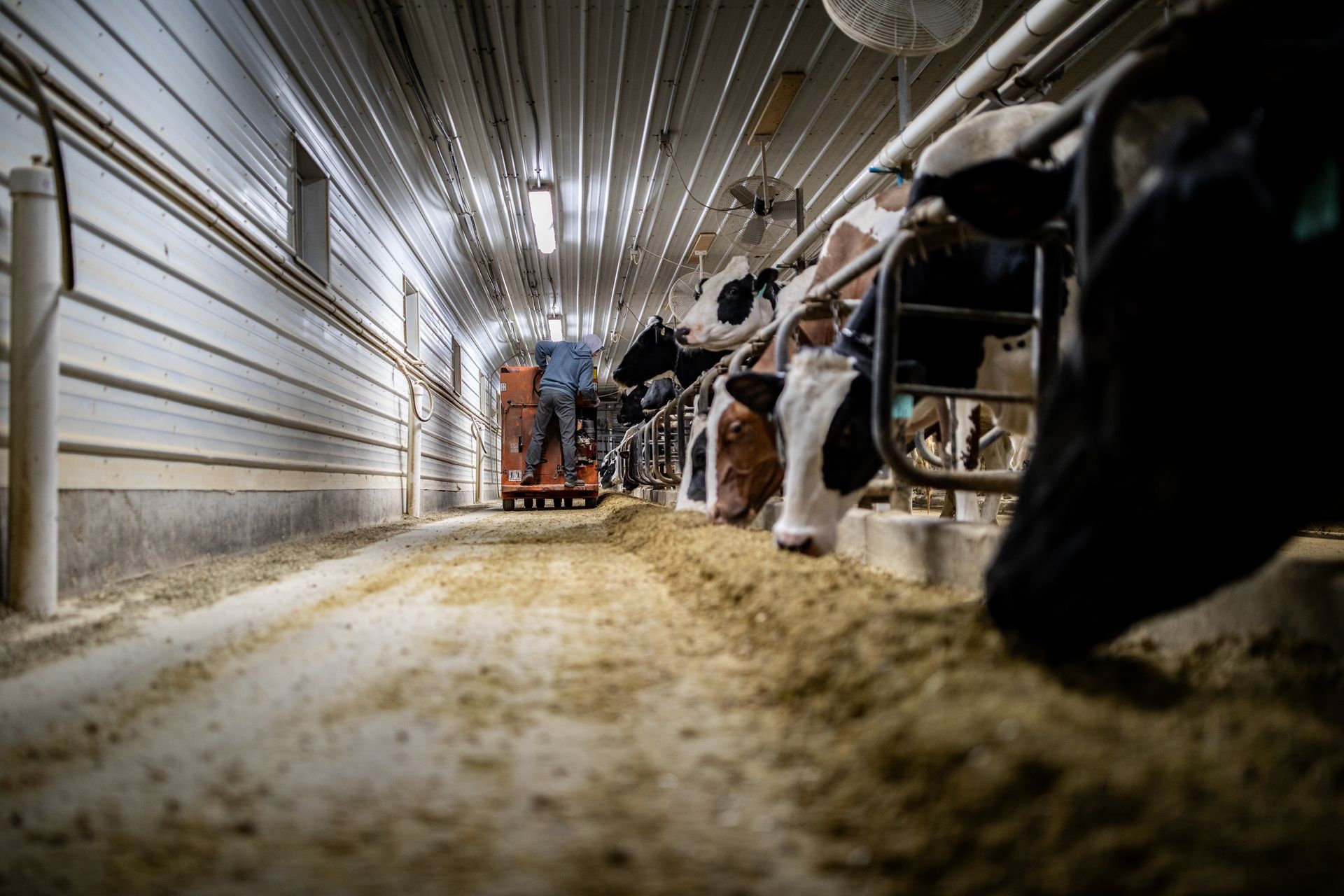 Rokeyroad Creamery