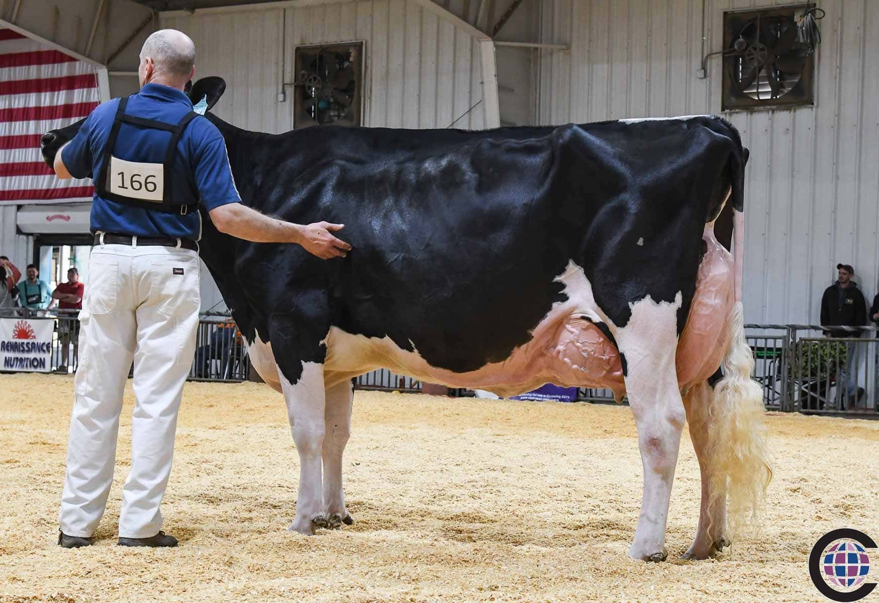 Awards at Rokeyroad Creamery