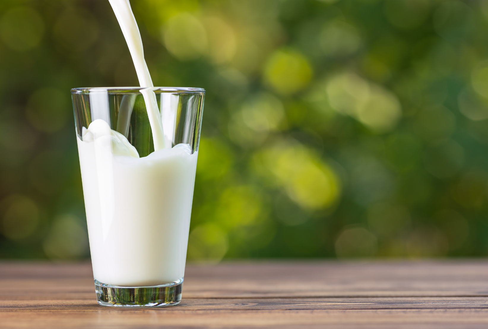 Rokeyroad Creamery A2 Whole Milk