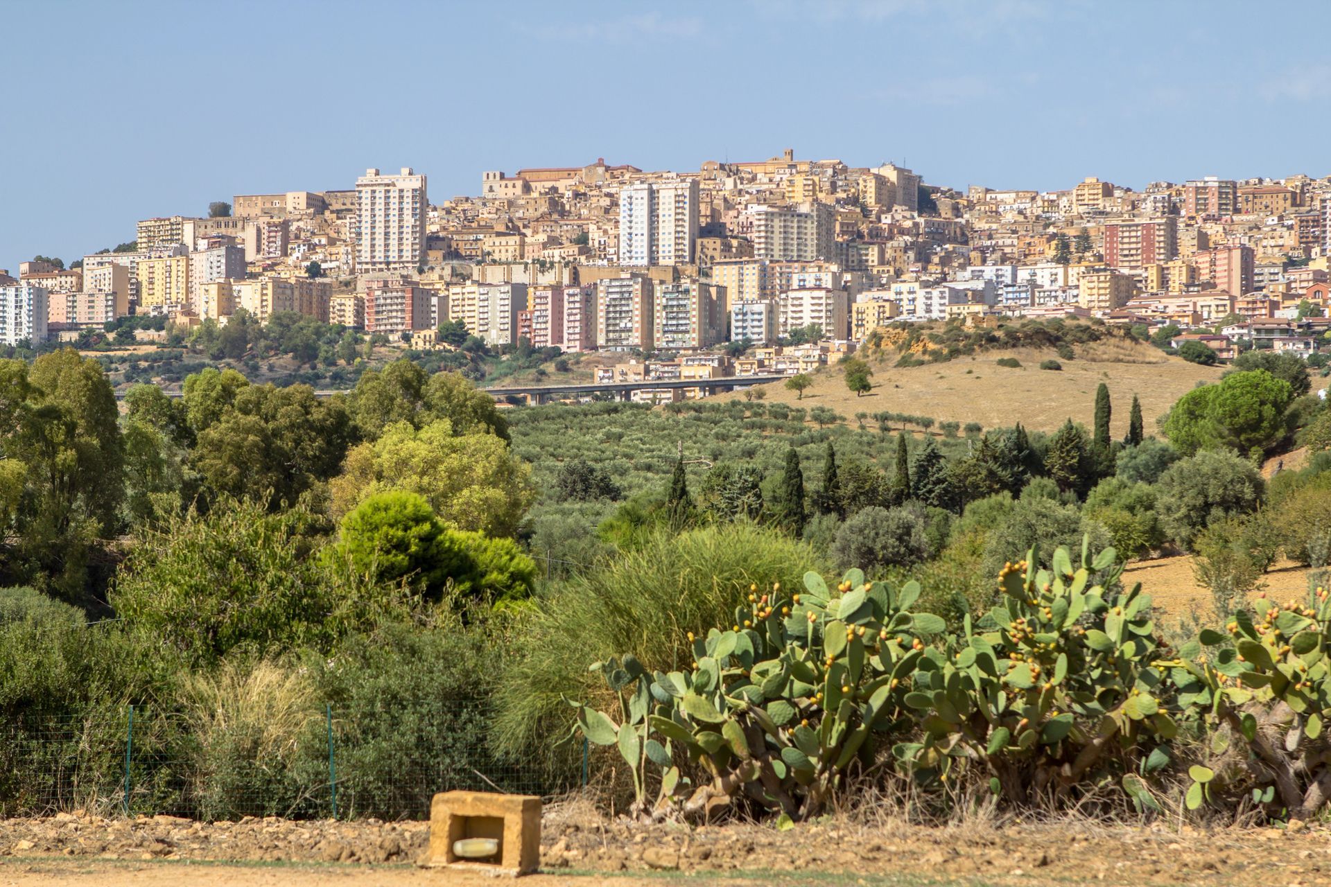 Una città che si estende su una collina, con vari edifici dai toni caldi, che si affacciano su un paesaggio verdeggiante e ricco di vegetazione.