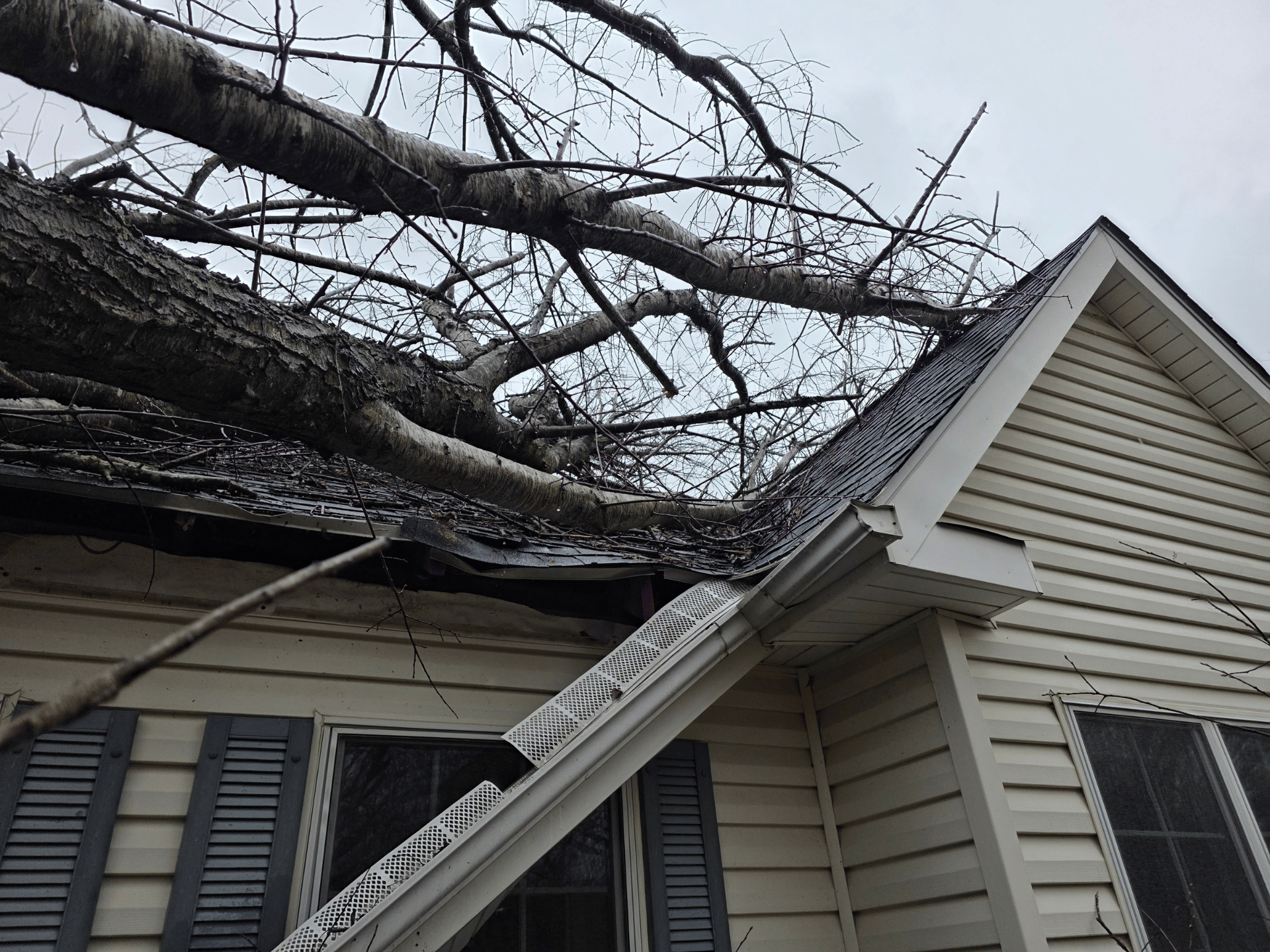 damaged exterior home broken HVAC unit tree fallen through home