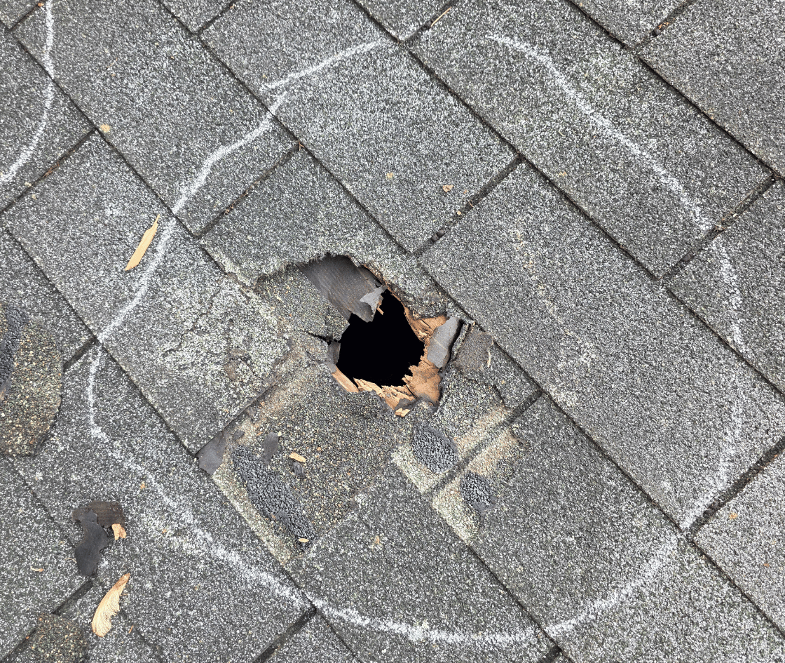 Residential Roofing Repair Replacement  Service Laurel Maryland Architectural Shingles Howard County Leak Stain Tree Damage