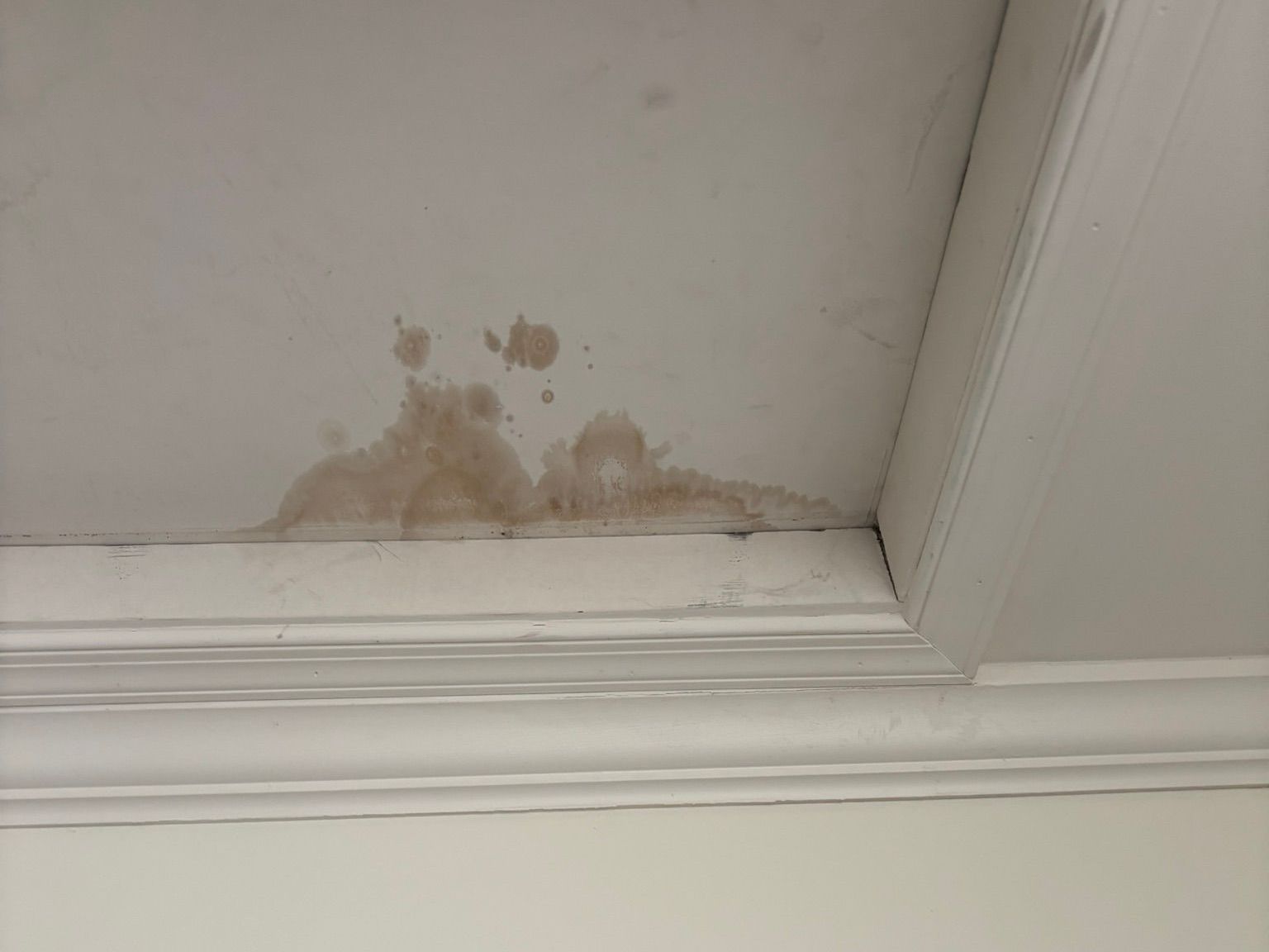 Ceiling Leak stain in residential roof home. Roof leak repair replacement 