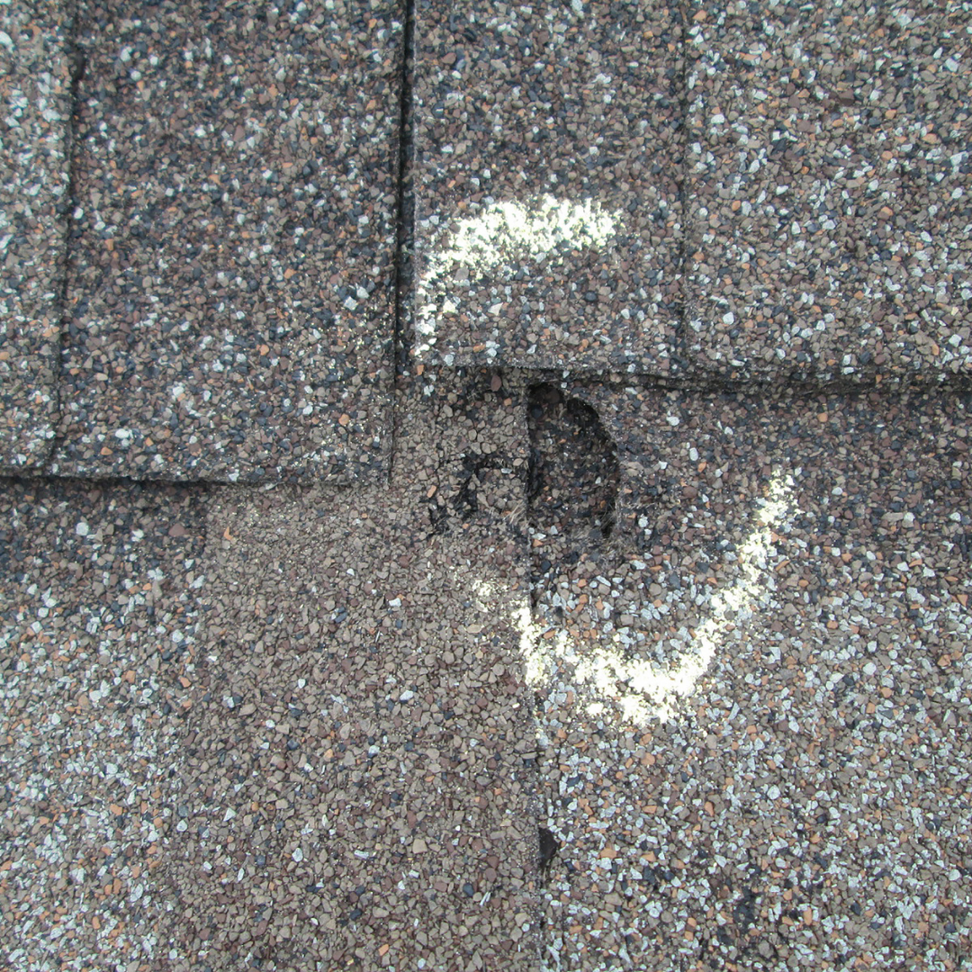 Hail Damage Asphaly Shin