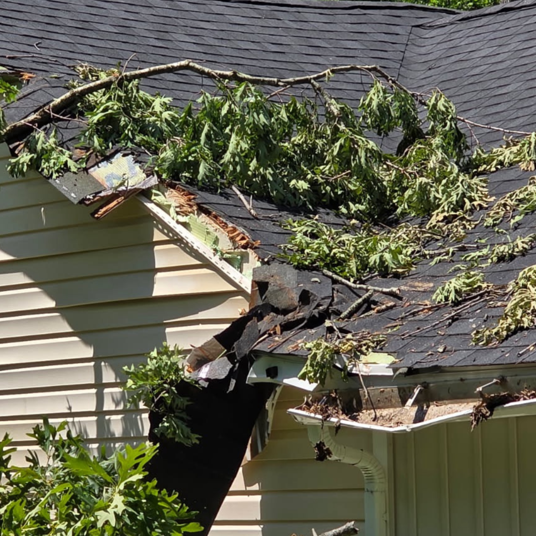 Roofing Storm Damage Repair Insurance Claim Help Maryland Tree Damaged Roof