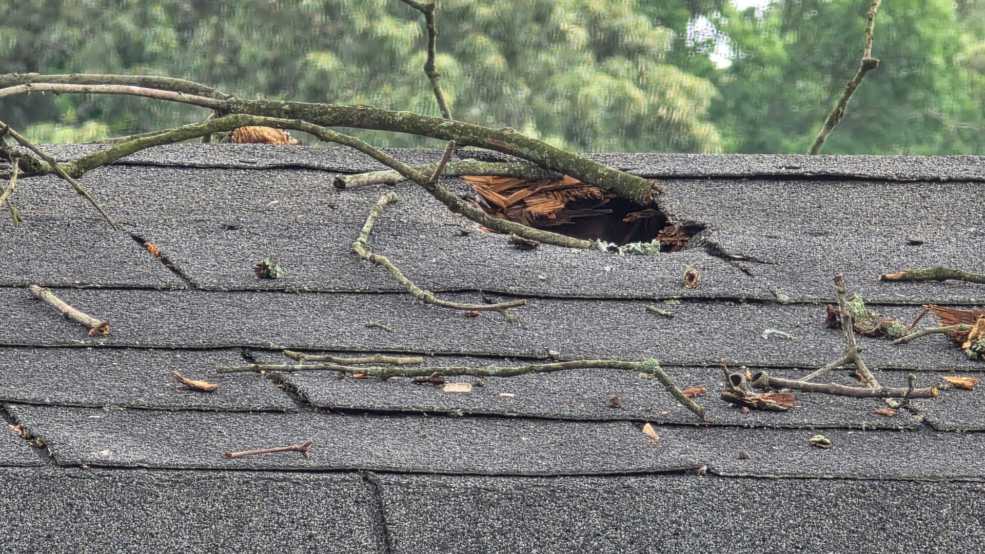 damaged exterior home broken HVAC unit tree fallen through home