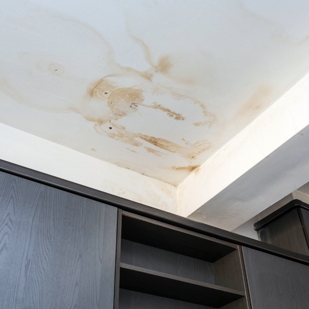 Water Damaged Ceiling Roof Inspection Leak Repair Roofing Contractor Mayland