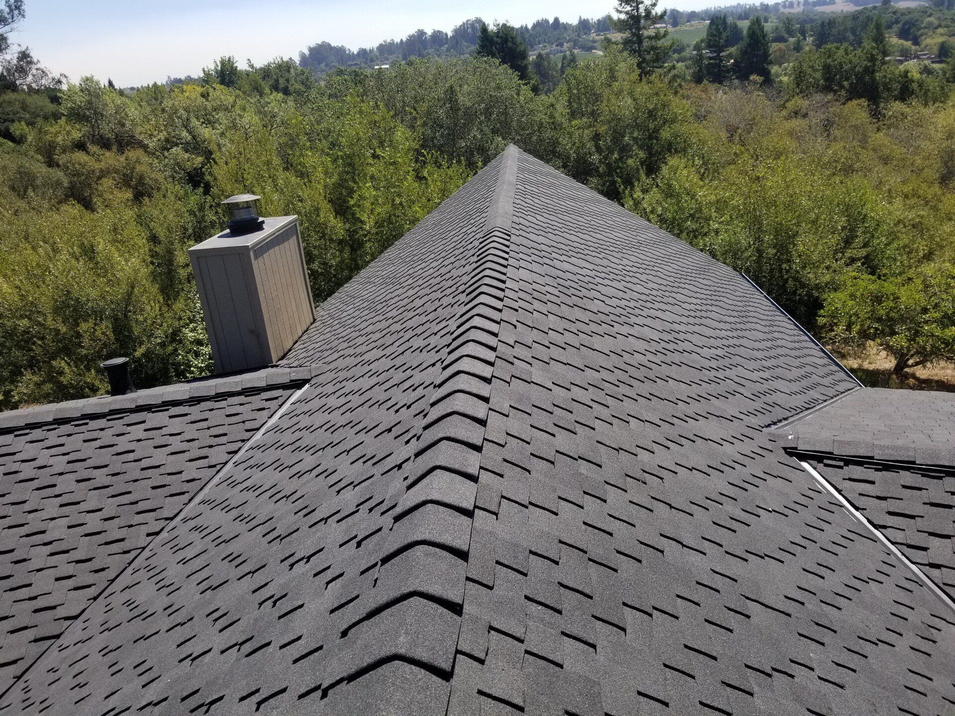 View of Trees at the Roof — Sebastapol, CA — Alpine Roofing Co
