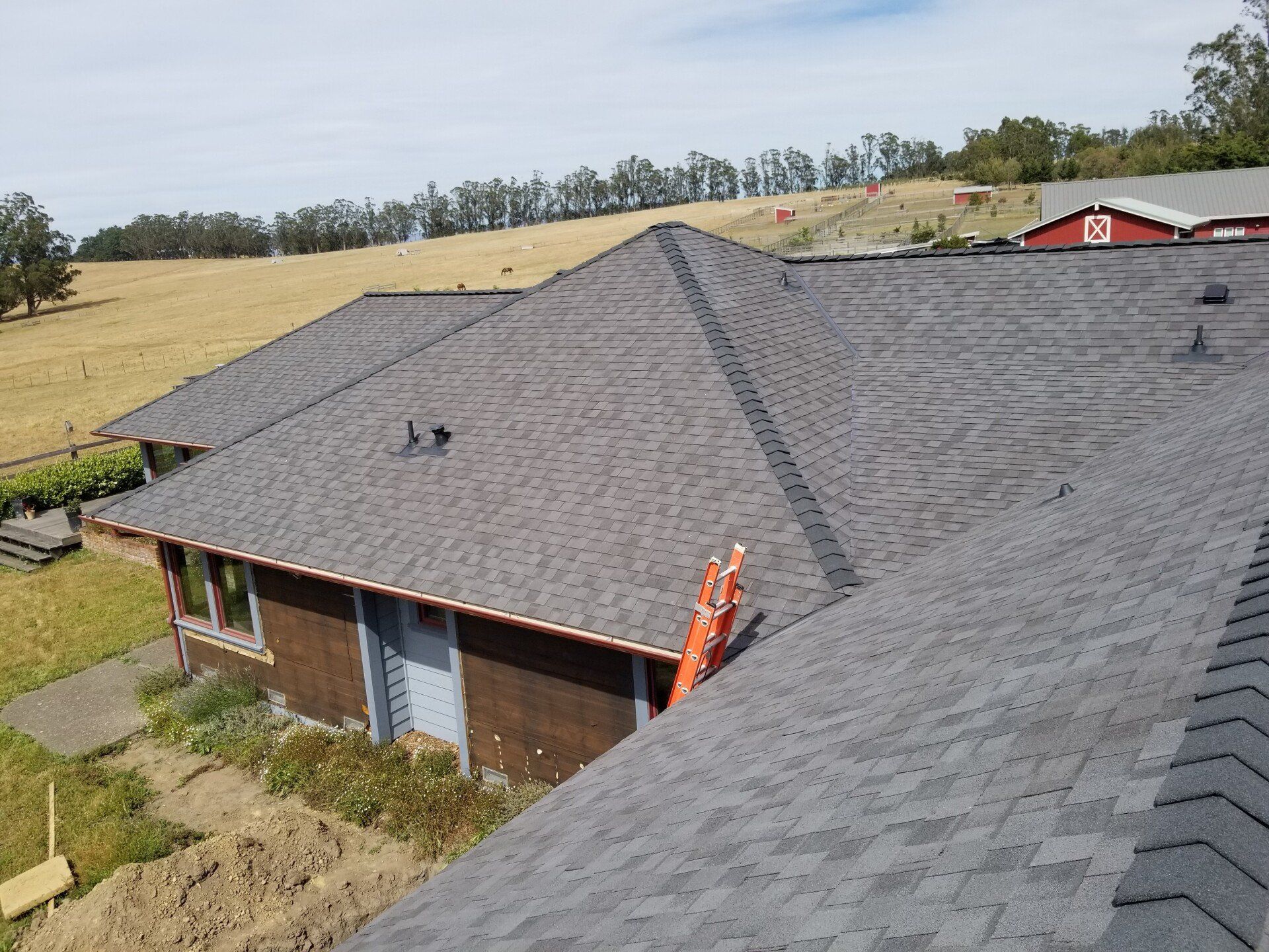 Roofing of the House with Ladder — Sebastapol, CA — Alpine Roofing Co