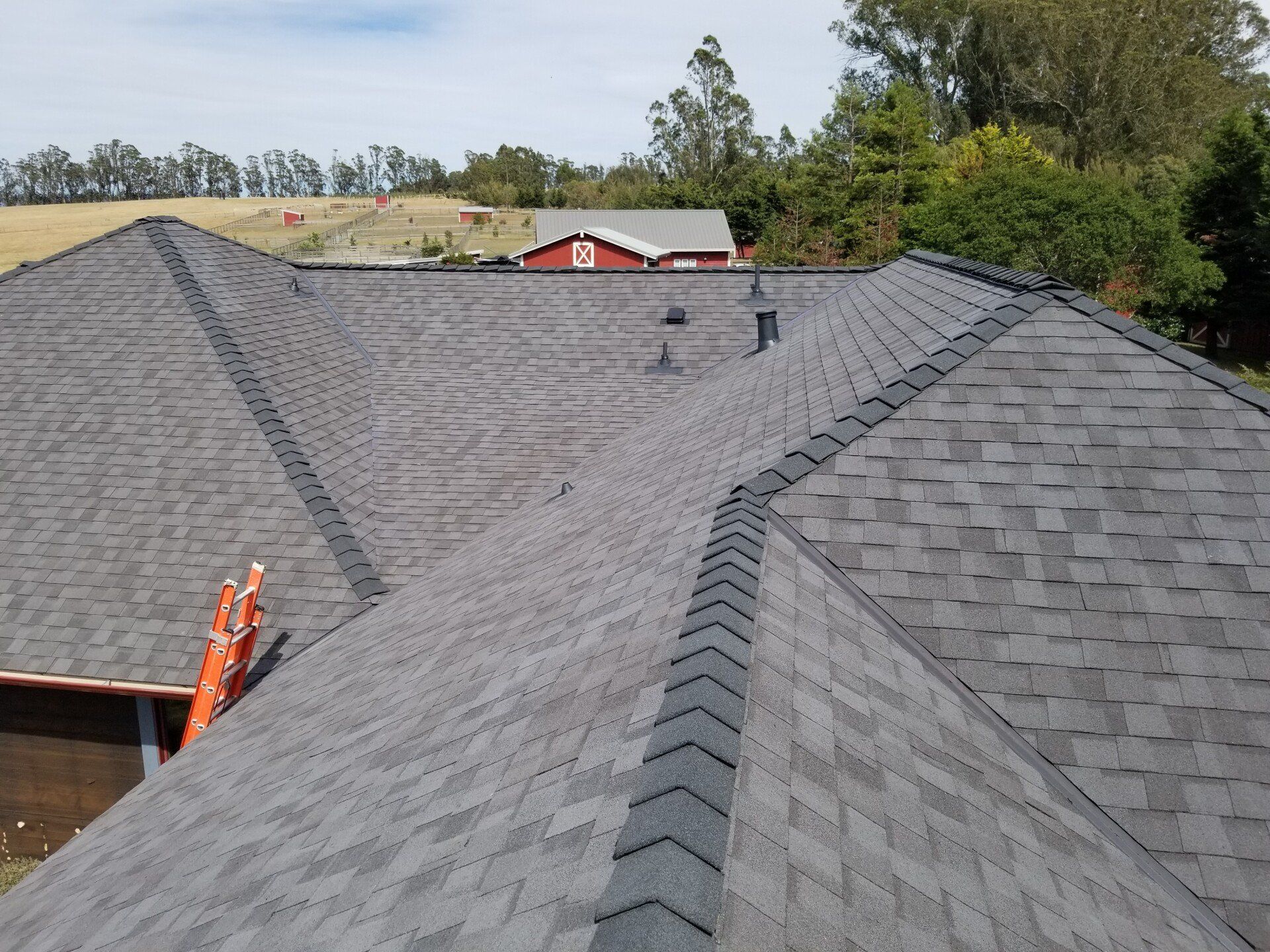 Roof with Ladder — Sebastapol, CA — Alpine Roofing Co