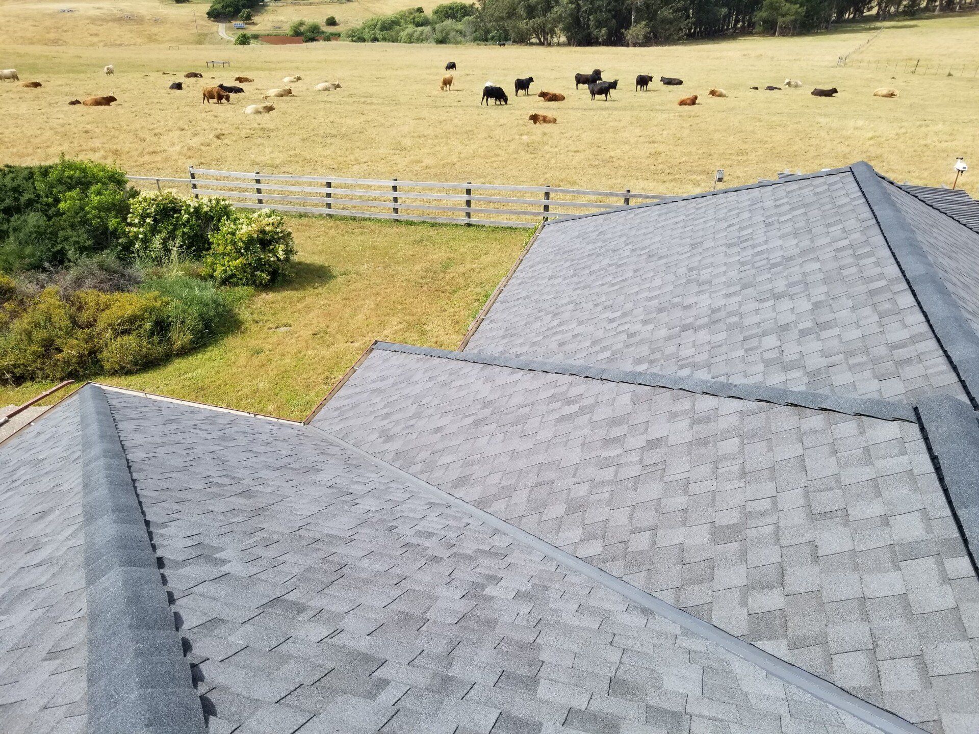 Re-Roofing — Sebastapol, CA —Alpine Roofing Co