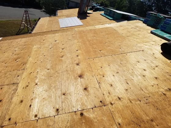 Roof Dyrot — Sebastapol, CA — Alpine Roofing Co