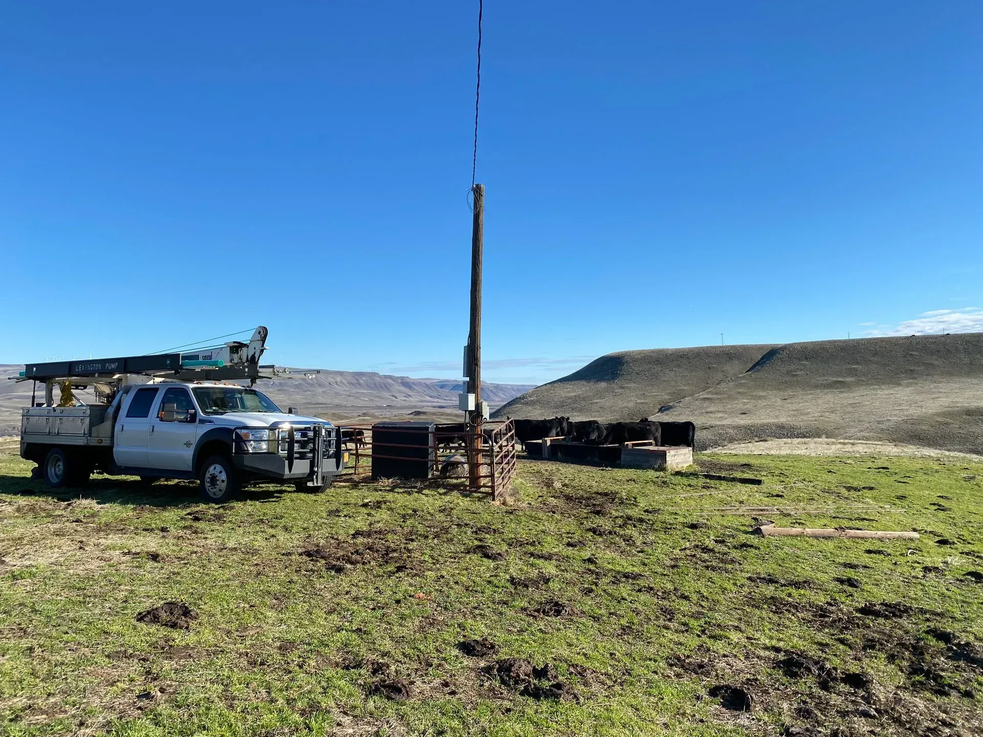 A white truck is parked in a grassy field next to a pole.