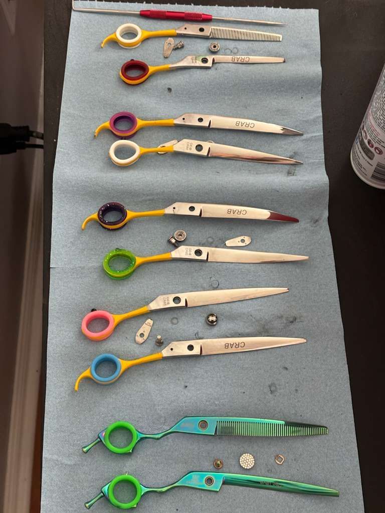 Several disassembled shears with colorful finger rings on a blue cloth.