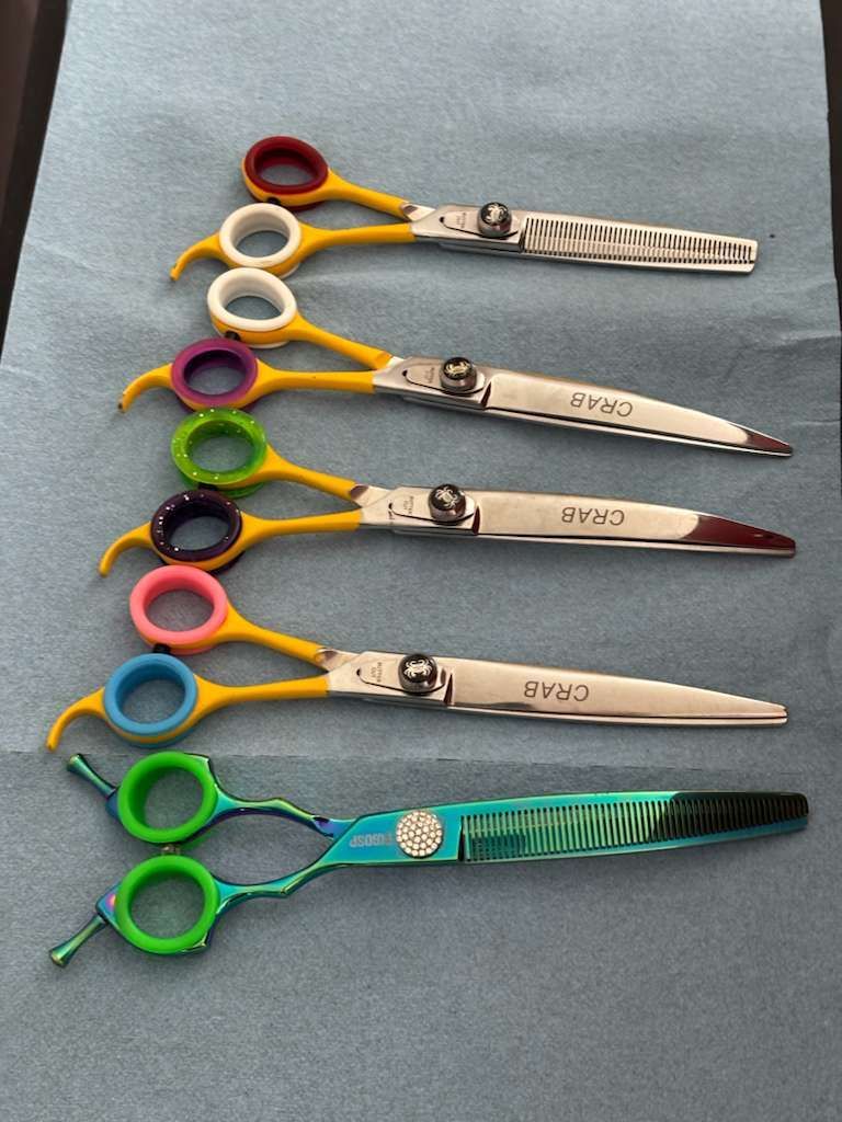 Five yellow-handled grooming shears with different colored finger rings 