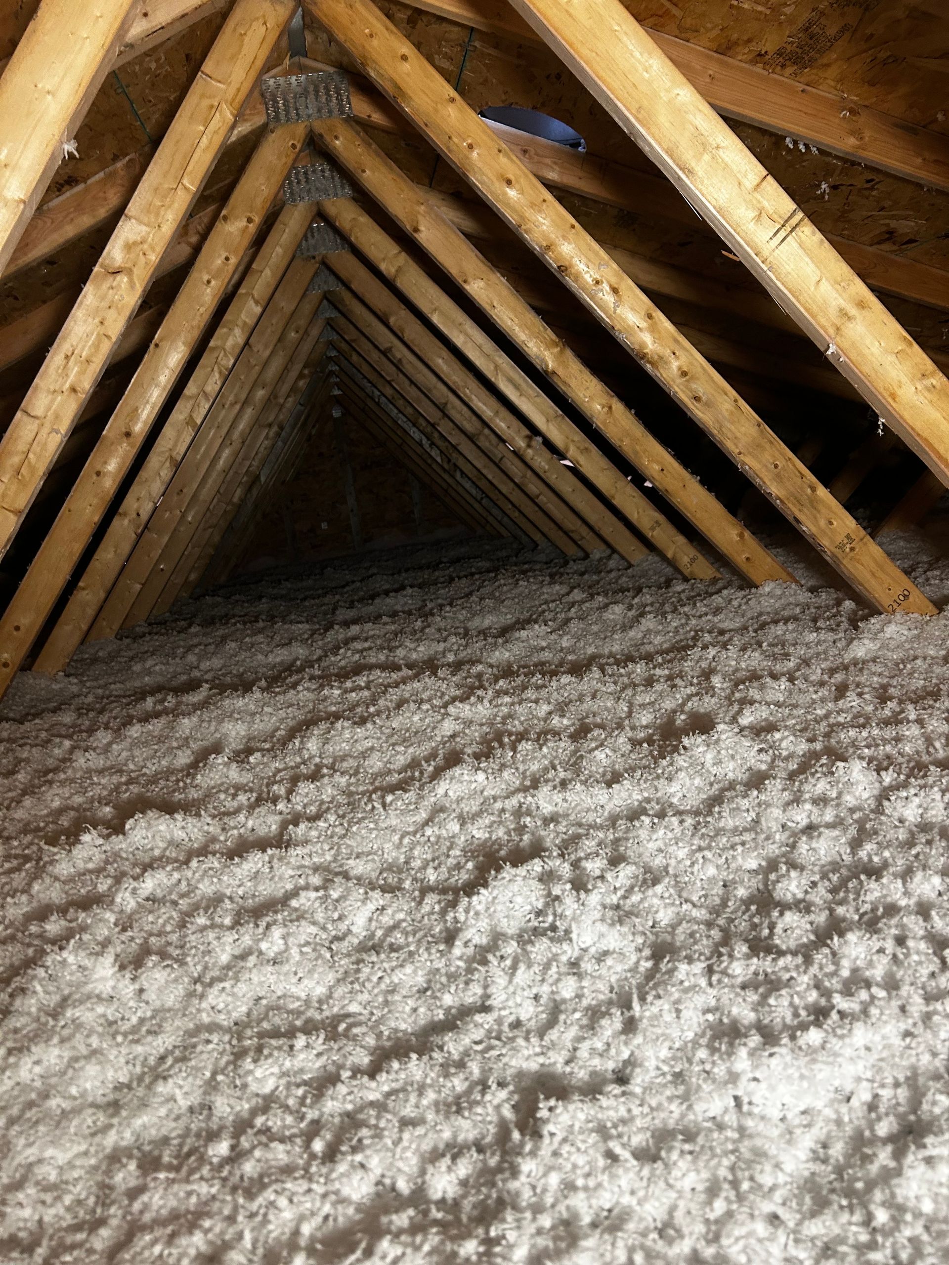 Attic Insulation