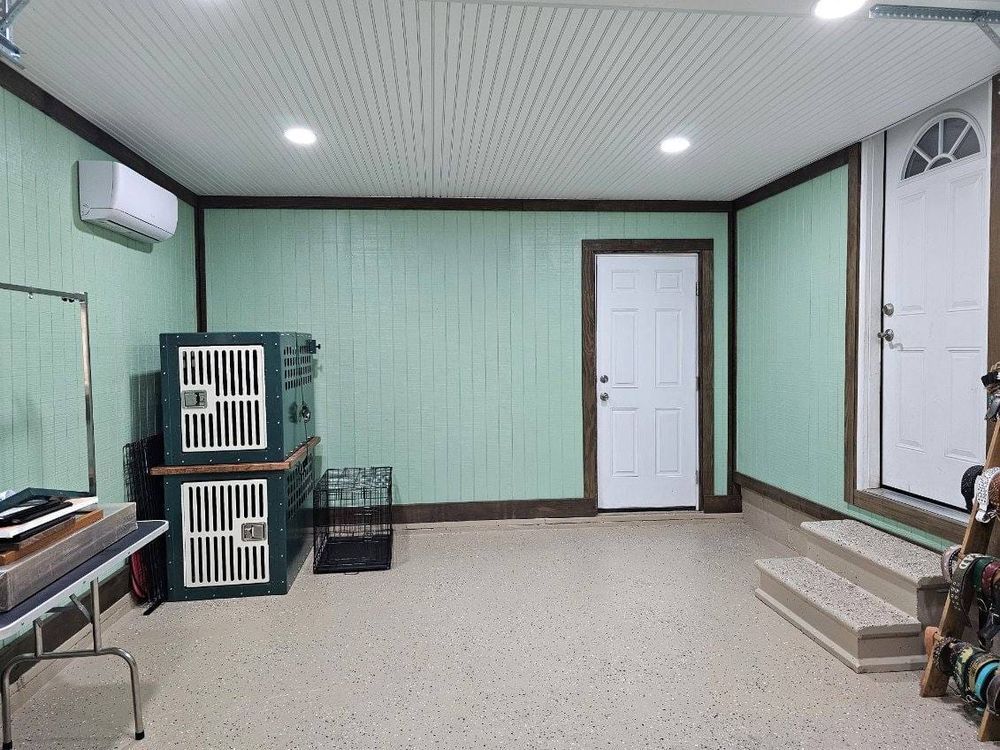 Interior of a room with green walls, a white door, and dog crates.