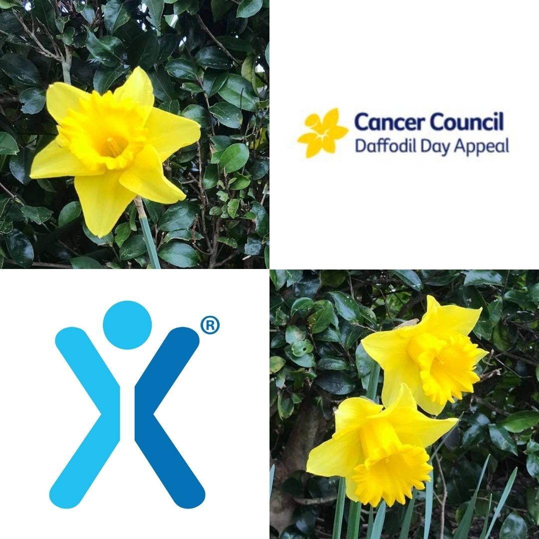 Daffodil Day | Powering life-saving cancer research.