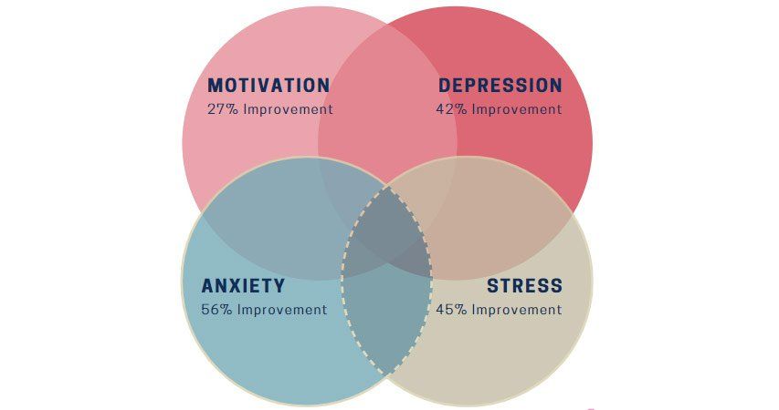 Motivation, Depression, Anxiety and Stress in Cancer Patients.