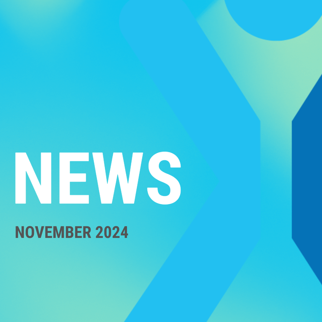 November 2024 NEWS