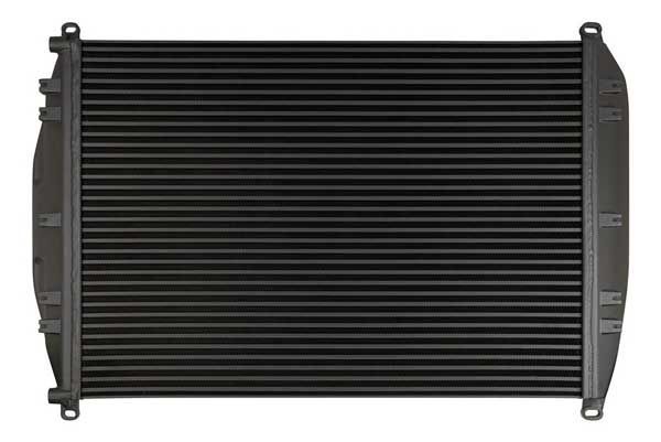 Se muestra un radiador negro sobre un fondo blanco.