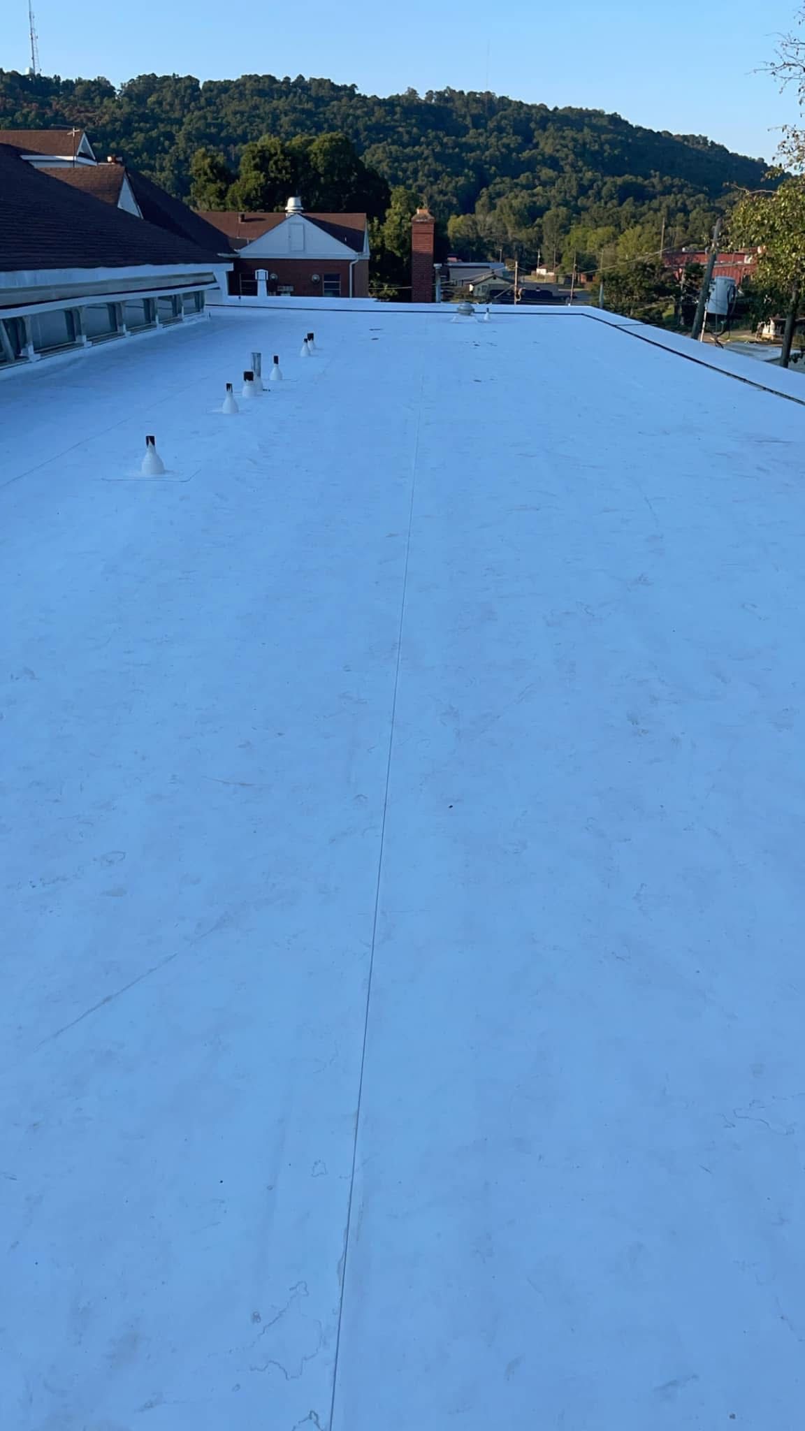 Flat, white commercial roof, with vents and a distant view of trees and buildings. Blue sky overhead.