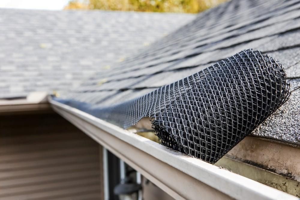 A gutter with a mesh on it and a roof in the background.