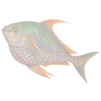 sfondo 3
