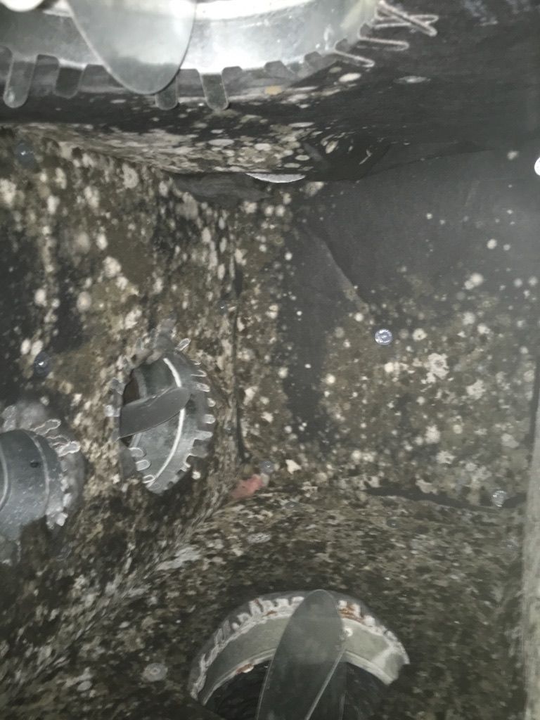 Inside of a dark, grimy industrial container with white mold-like growth on the walls and multiple circular vents.