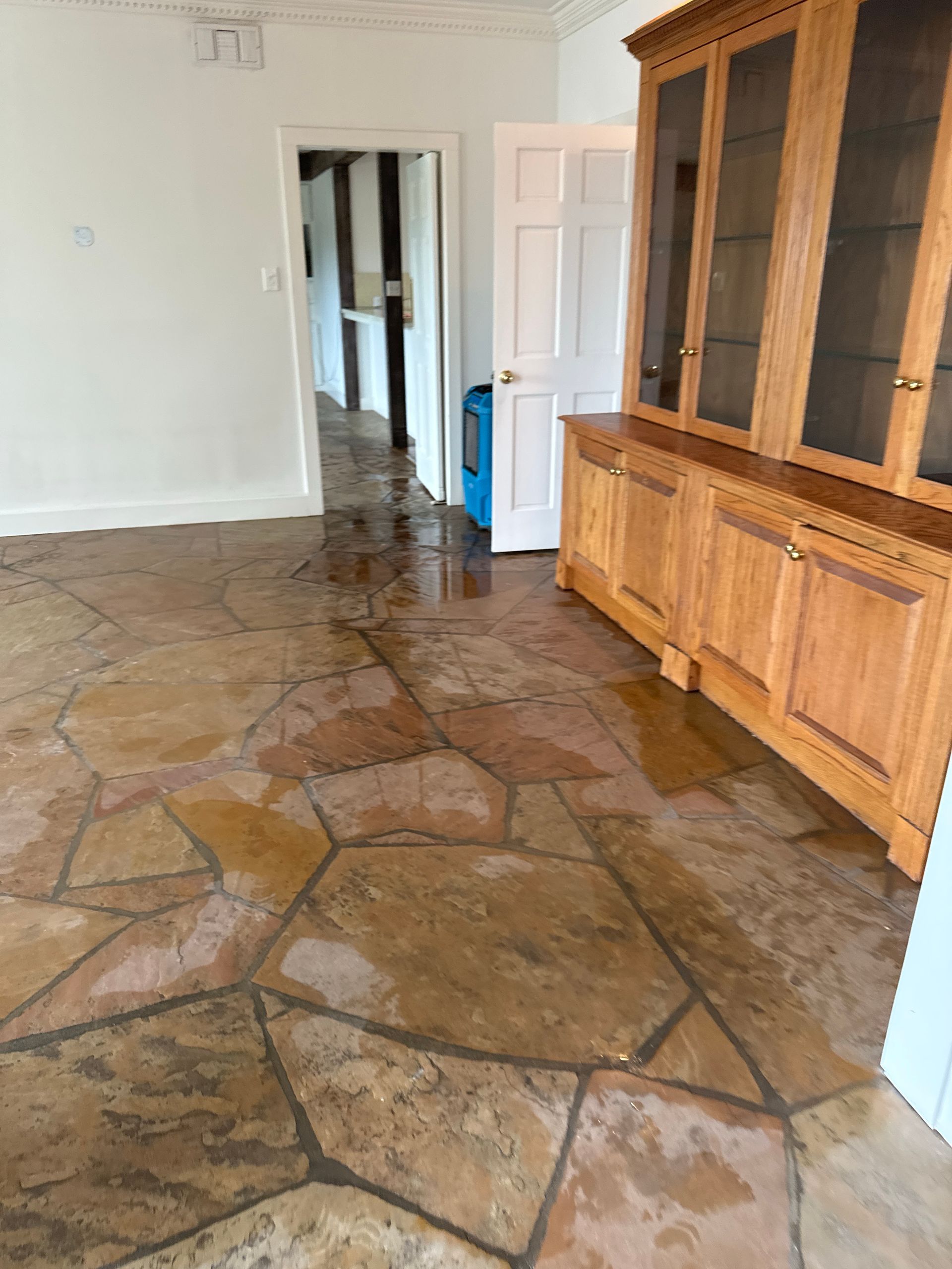 Wet flagstone floor in a room with a wooden cabinet. A door is slightly open, revealing a hallway.