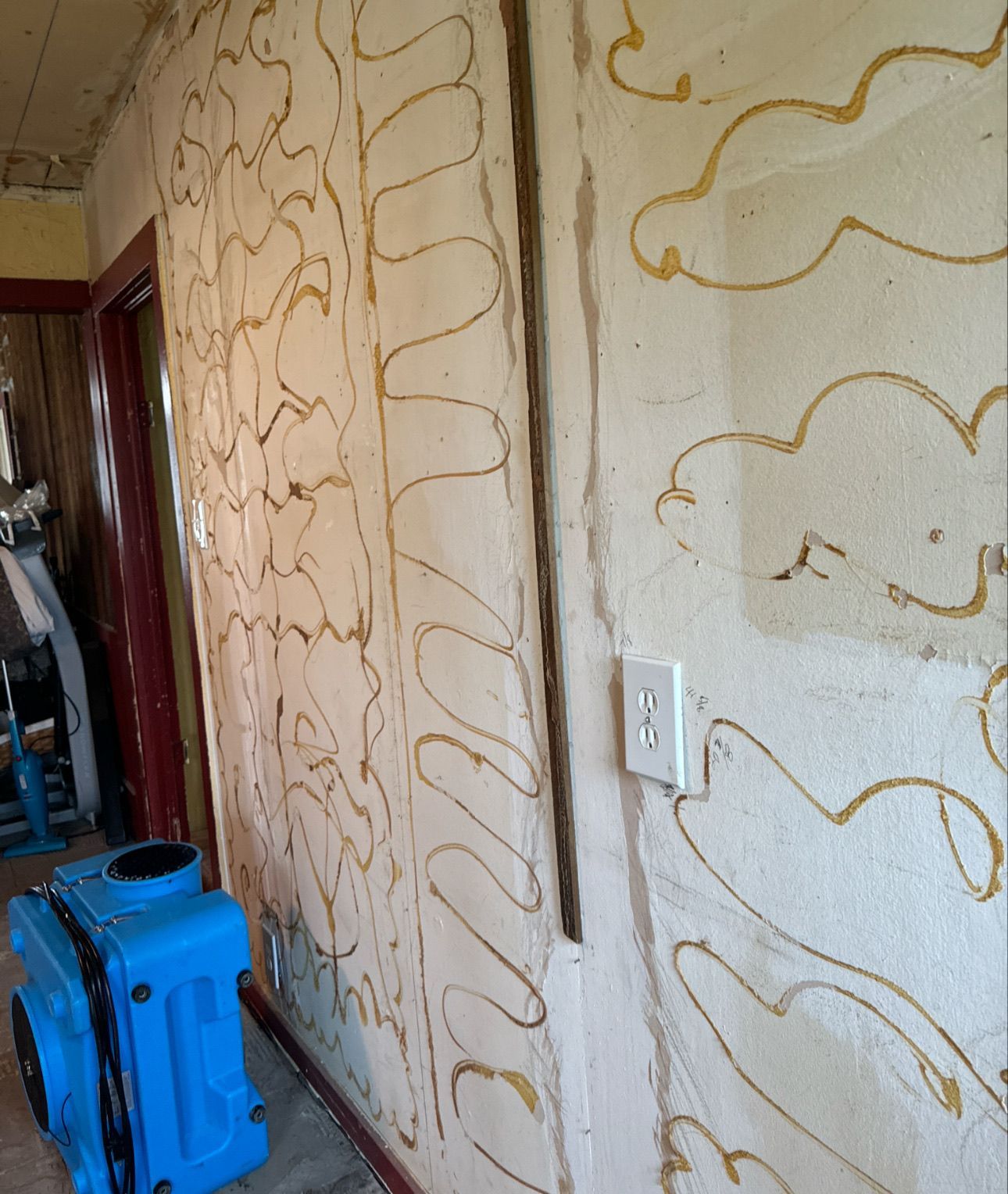 Interior wall with gold decorative lines on a white background. An electrical outlet is visible. A blue dehumidifier is in the lower left.