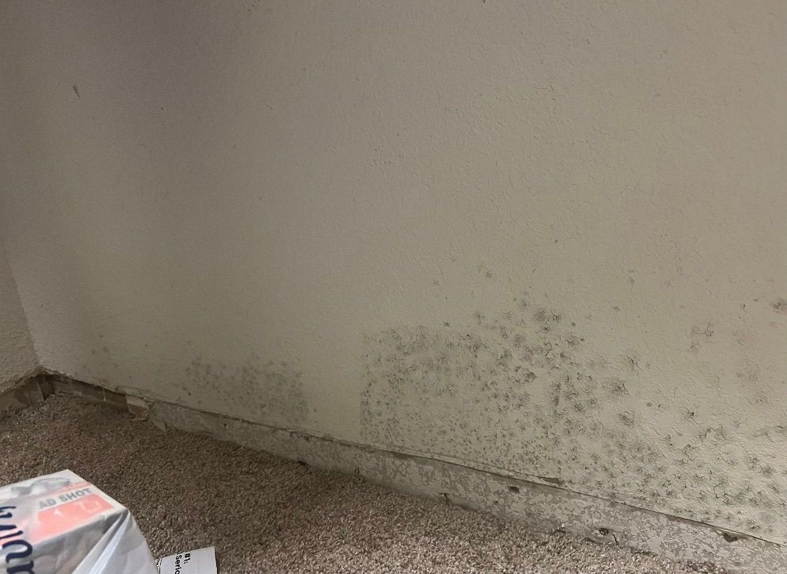Mold growth on a corner wall of a room. The wall has a light color, and the floor has a textured surface.