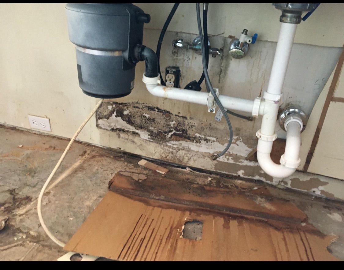 Damaged sink base showing water damage and mold growth under a sink with a garbage disposal. Brown water stains and peeling paint are visible.