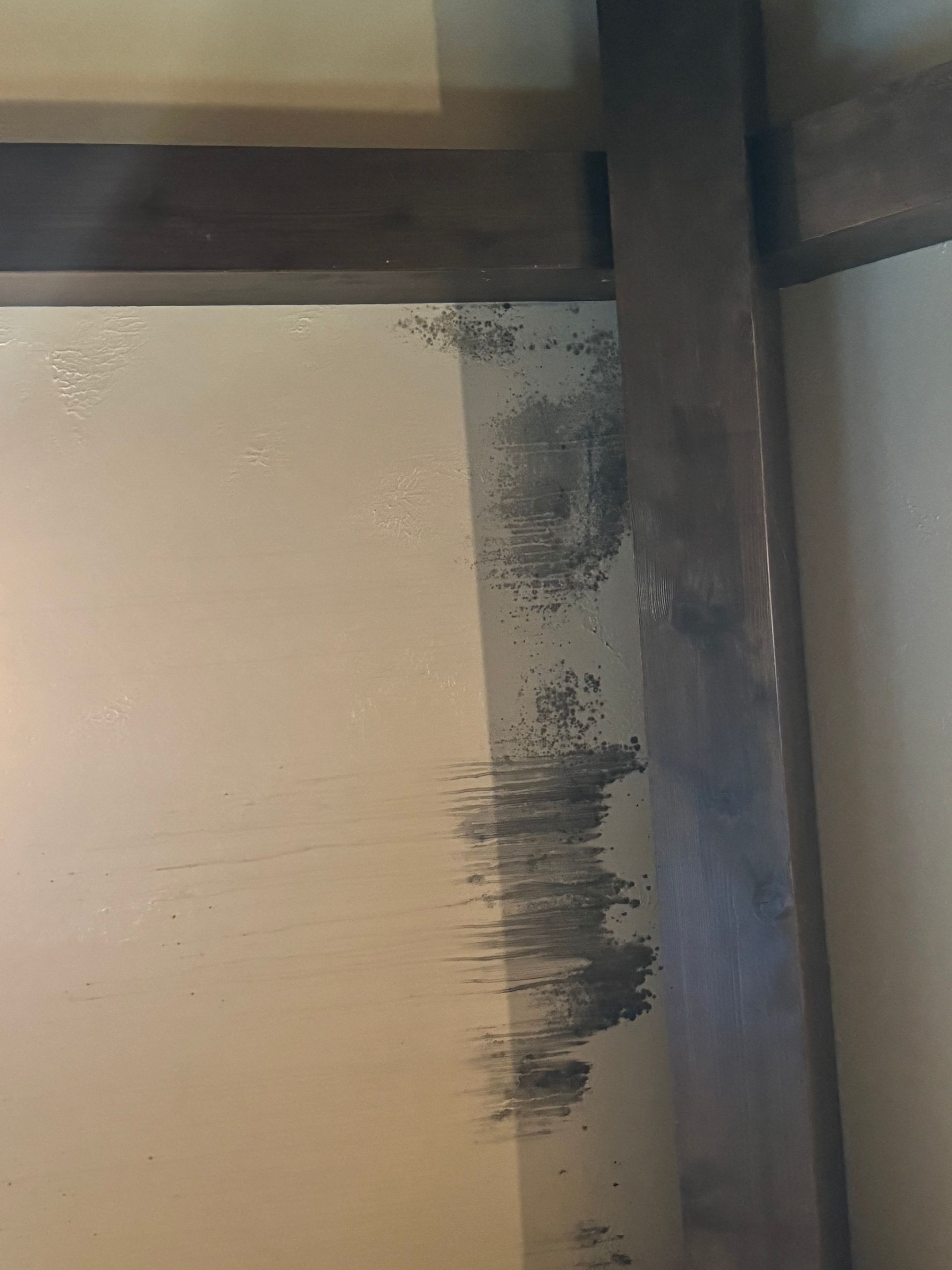 Gray and black mold growth on the inside corner of a wall and wooden beam. The wall is off-white.