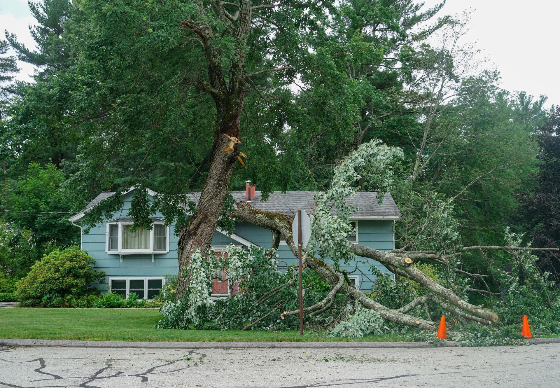 Tree branch fallen on a light blue house, orange cones on street, green grass and trees.