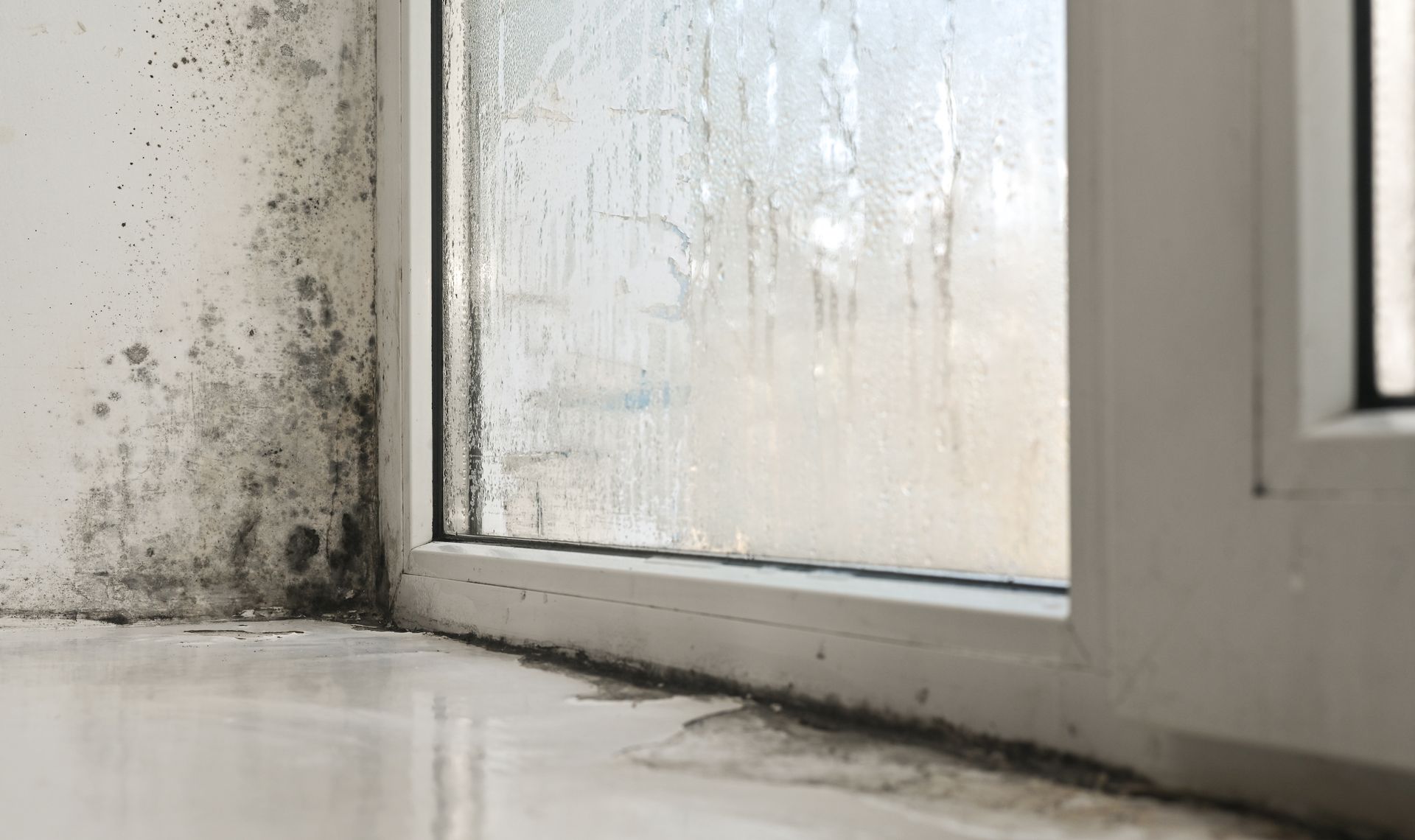 Mold growth on a wall and windowsill next to a window with condensation.
