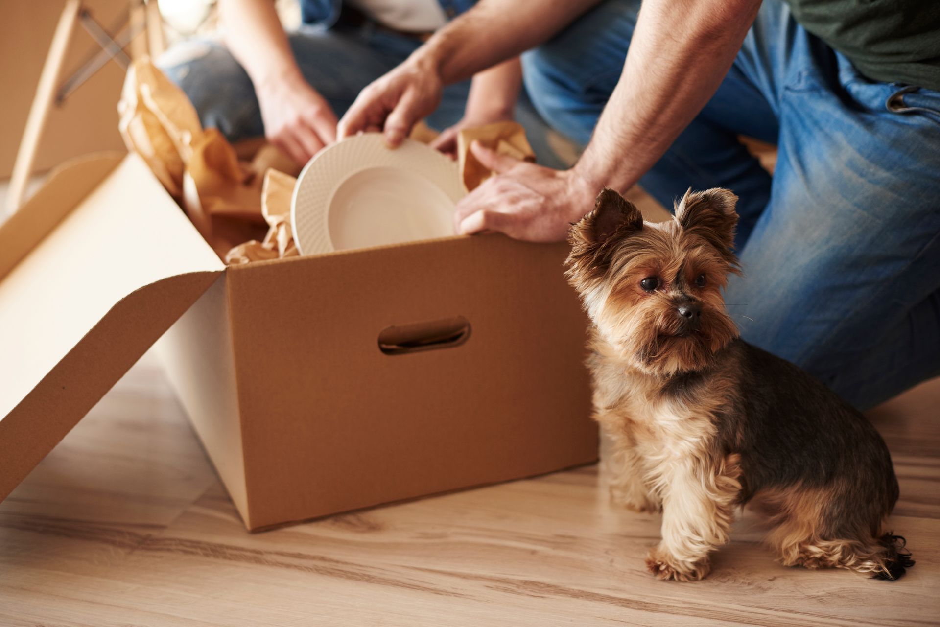 People packing dishes into a cardboard box; a small dog watches, sitting on the floor.