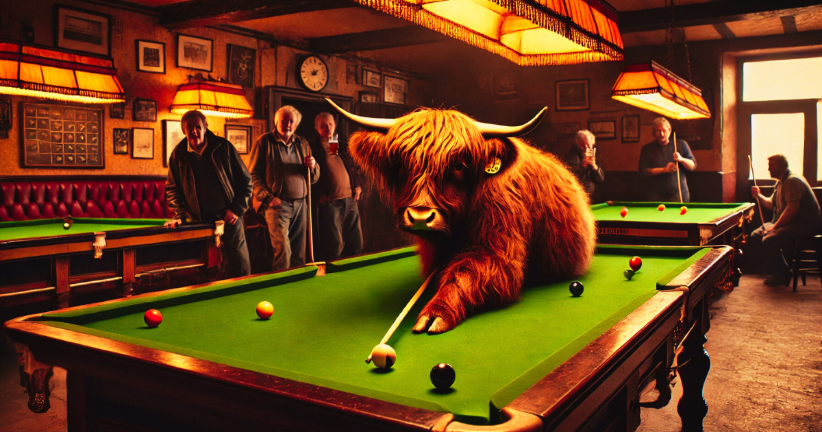 a highland cow playing pool in Bradford