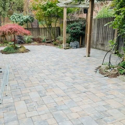 A brick patio with a pergola and trees in a backyard.
