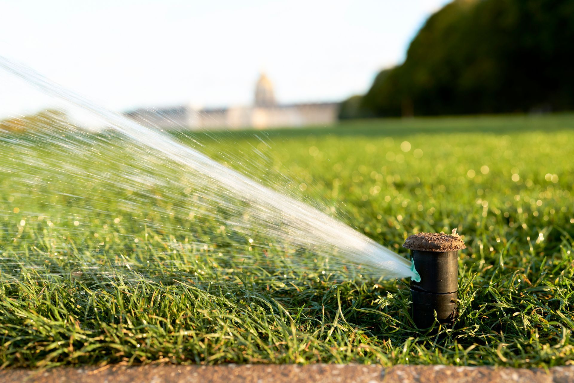 A sprinkler is spraying water on a lush green lawn.
