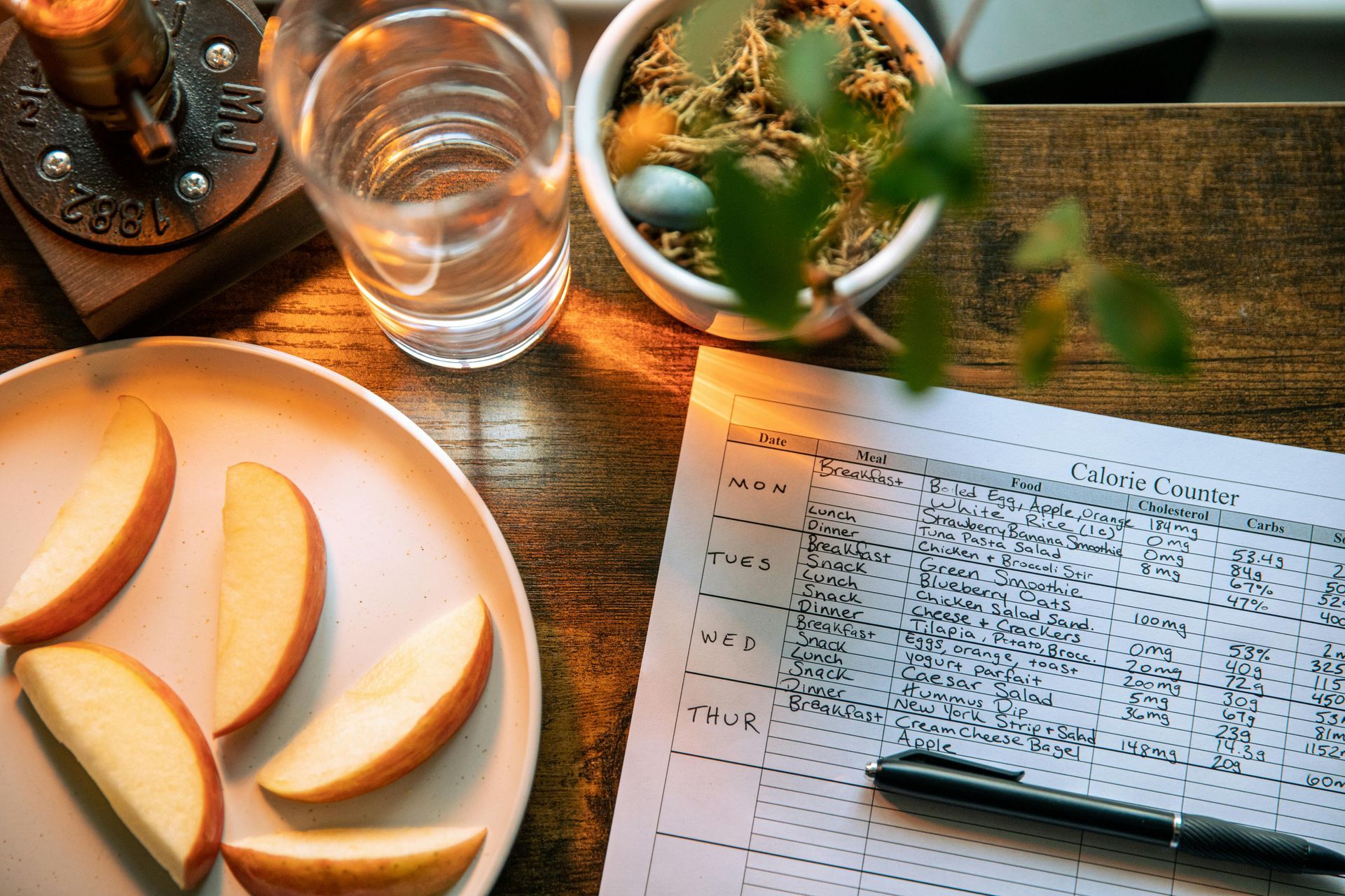 Desk with sliced fruit, a glass of water, and a pen on a handwritten notebook.