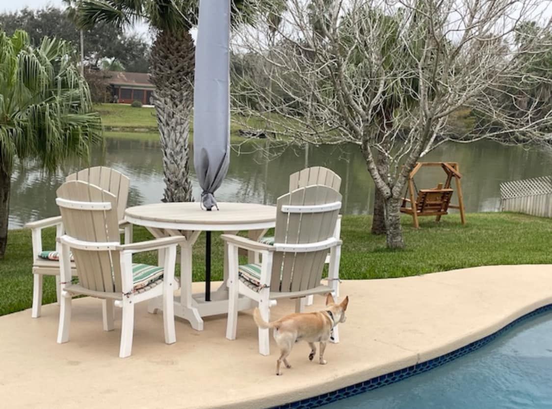 A dog is standing next to a table and chairs by a pool.