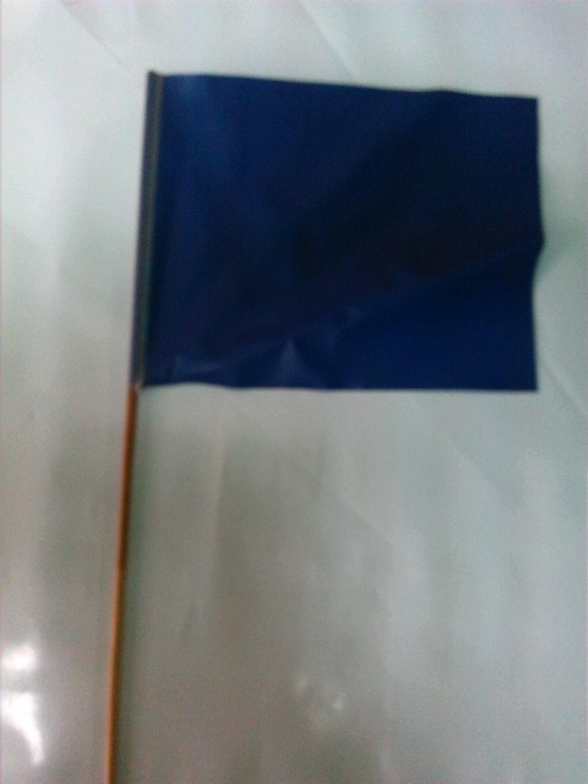 BANDERAS Y BANDEROLAS