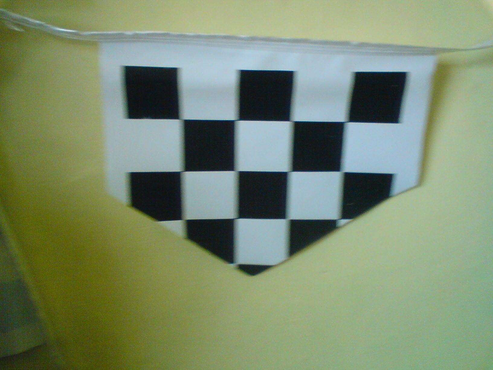 BANDERAS Y BANDEROLAS