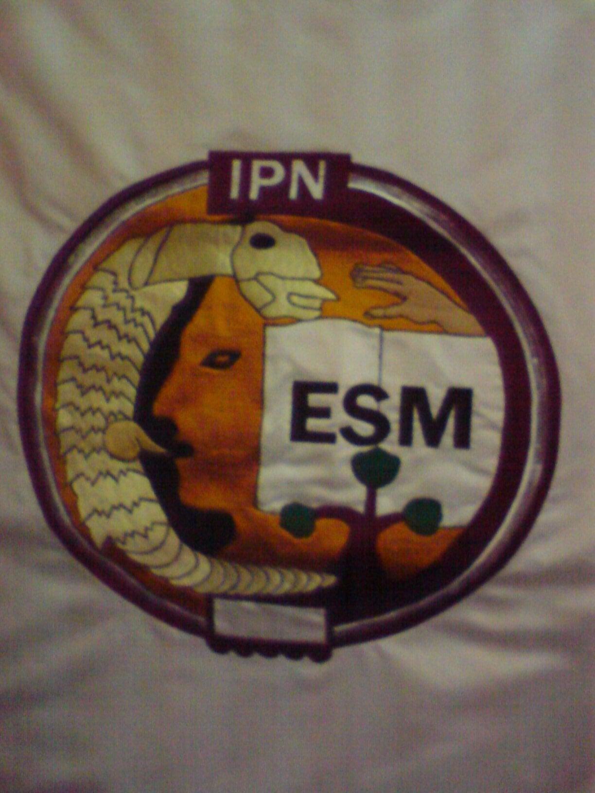 BANDERAS Y BANDEROLAS