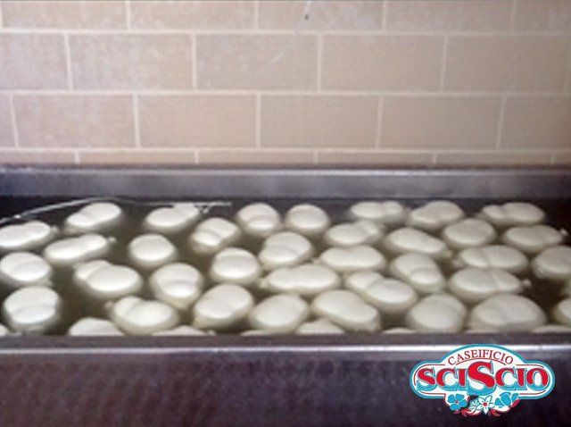 Mozzarelle appena prodotte