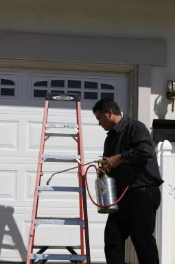 Professional pest control — Antioch, CA — Central Exterminator Co